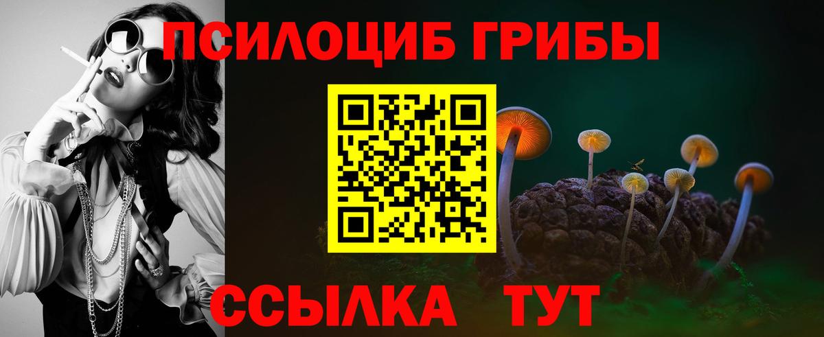 Галлюциногенные грибы Cubensis  хочу наркоту  Санкт-Петербург  Вход с VPN 