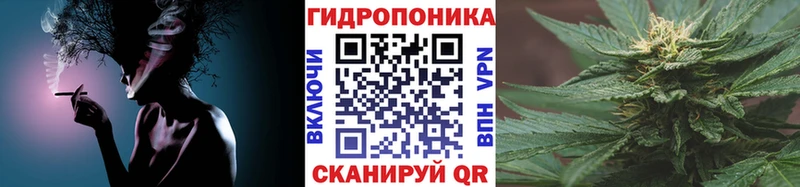 Конопля семена  Санкт-Петербург 